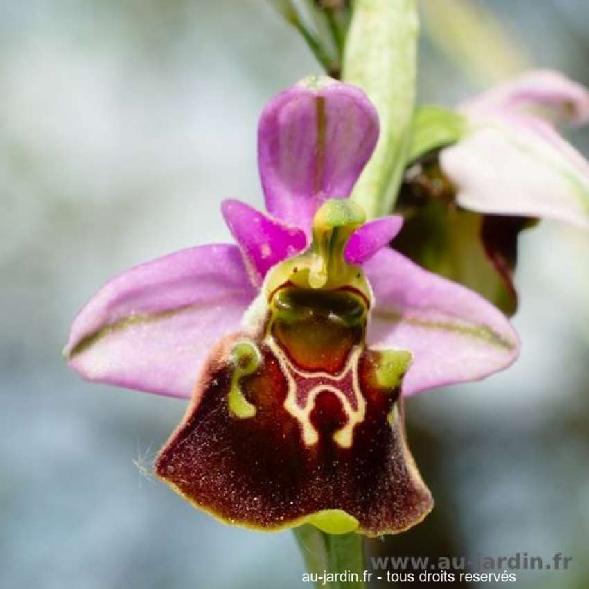 Featured blog image