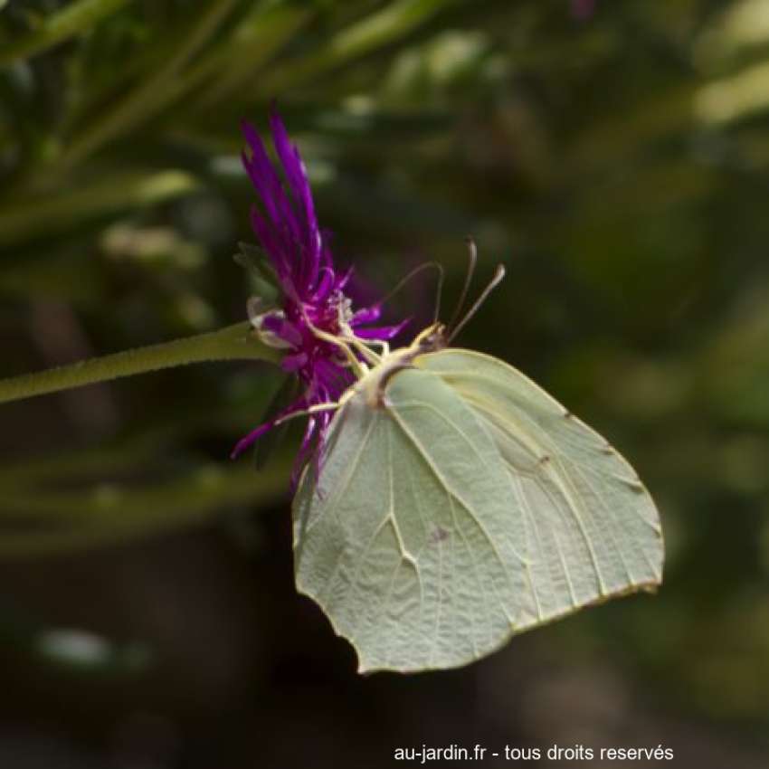 Featured blog image