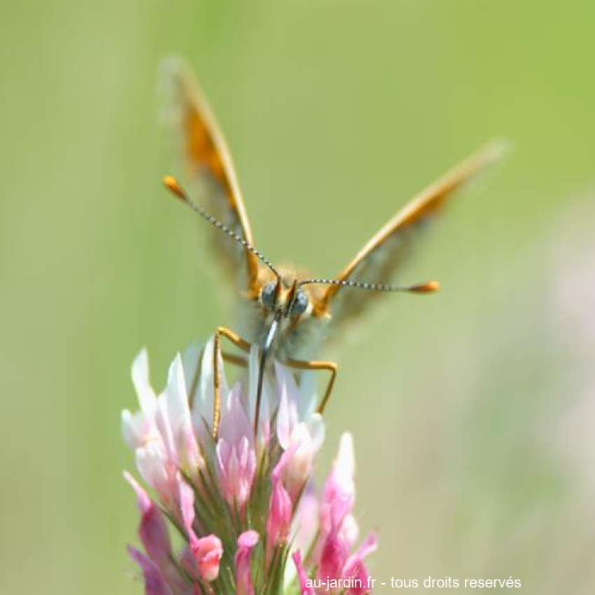 Featured blog image