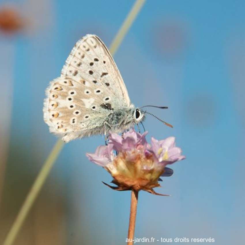 Featured blog image