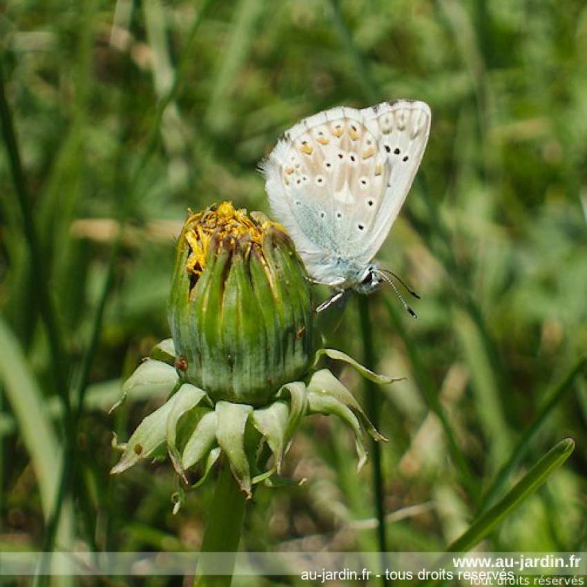 Featured blog image