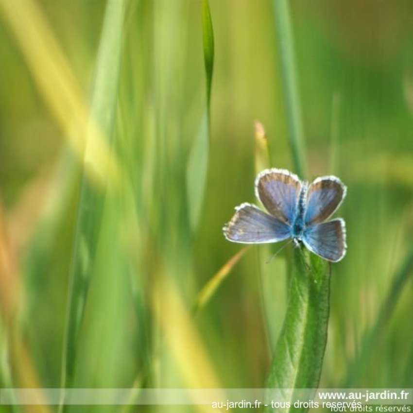 Featured blog image