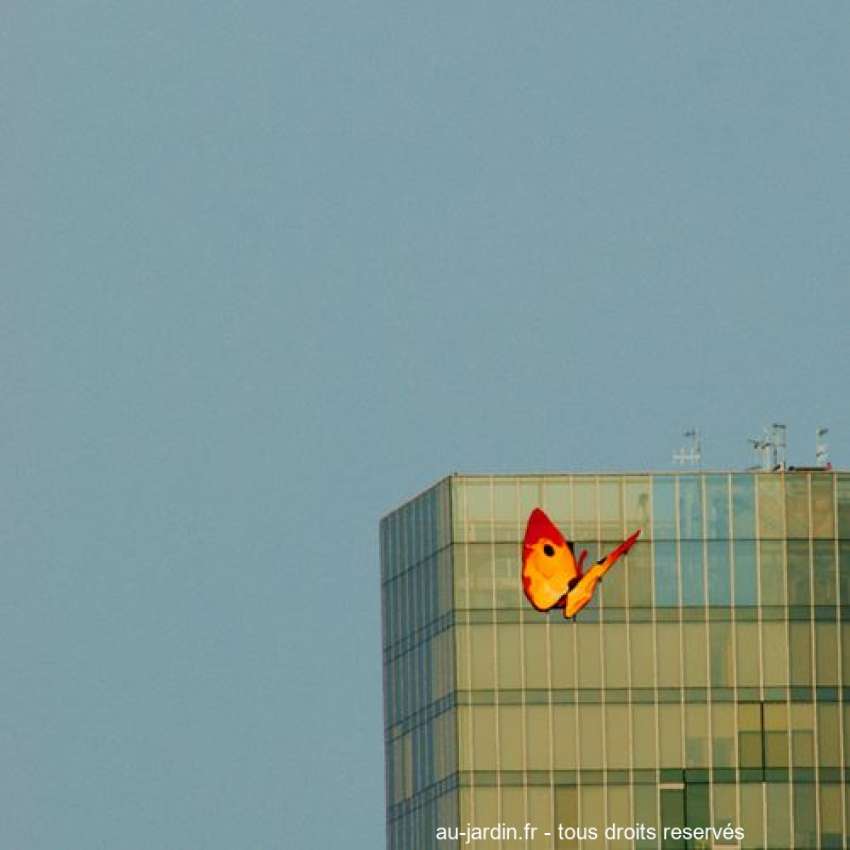Featured blog image