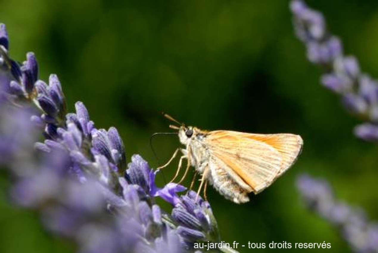 Featured blog image