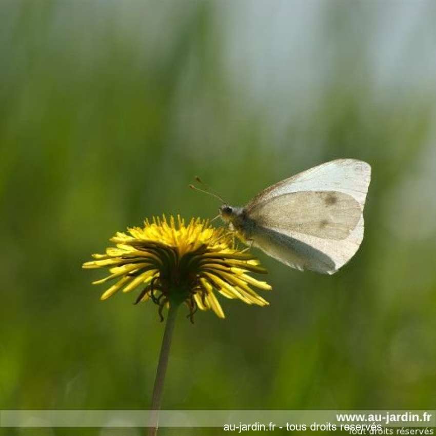 Featured blog image