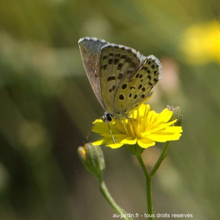 Featured blog image