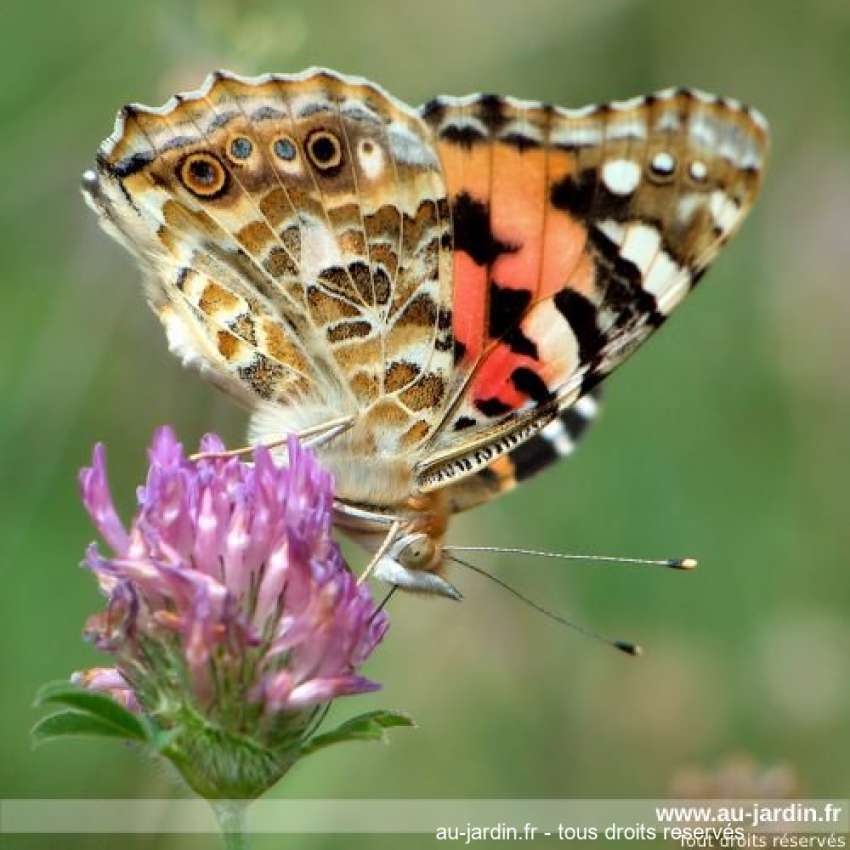 Featured blog image