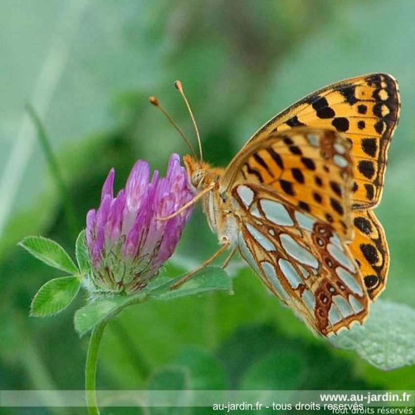 Featured blog image