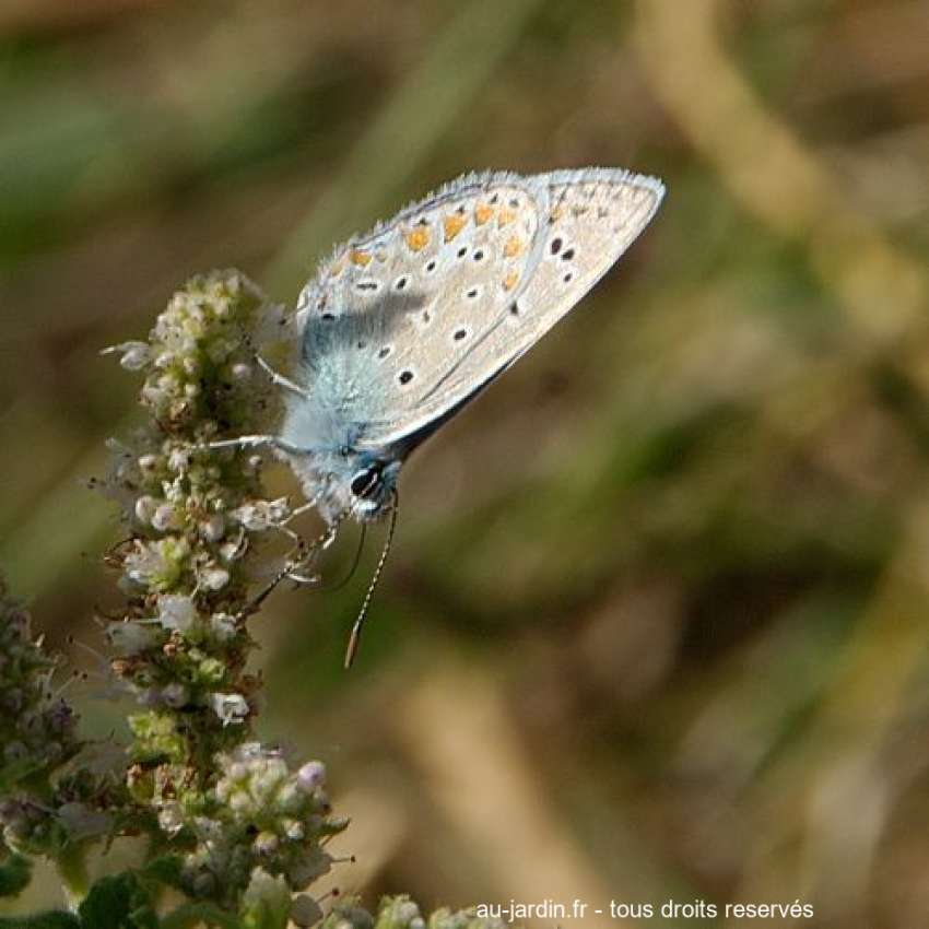 Featured blog image