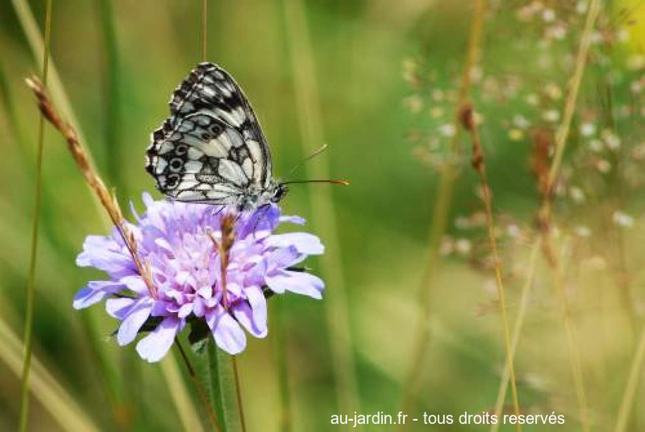 Featured blog image