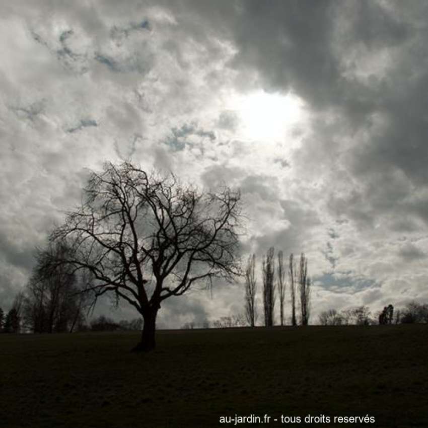Featured blog image