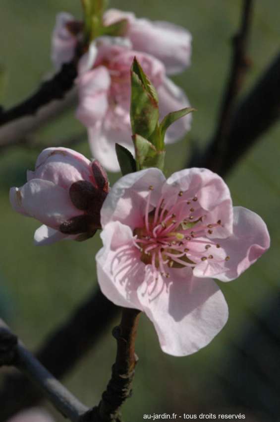 Featured blog image