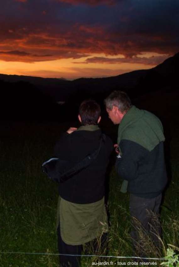 Featured blog image