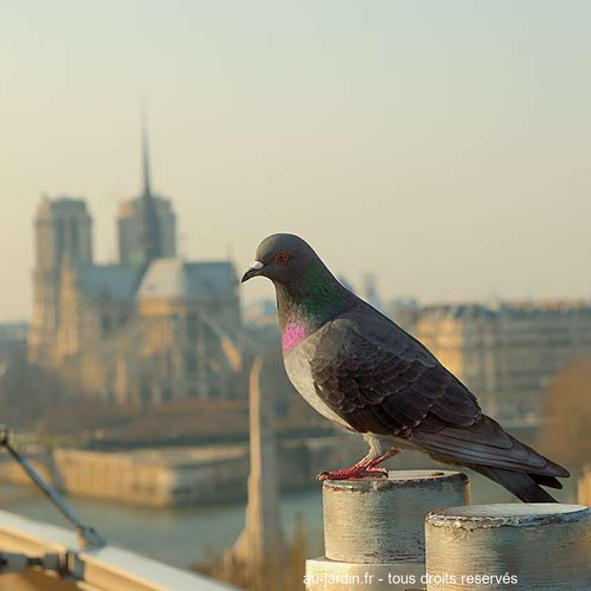Featured blog image