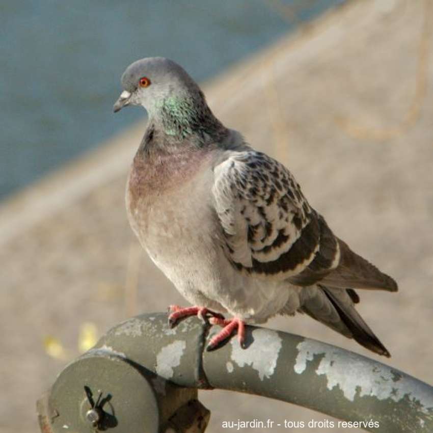 Featured blog image