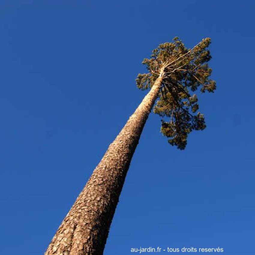 Featured blog image