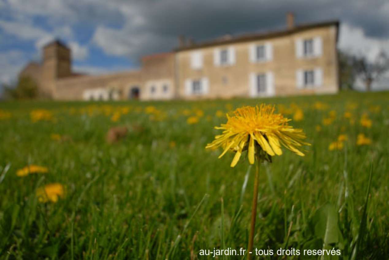 Featured blog image