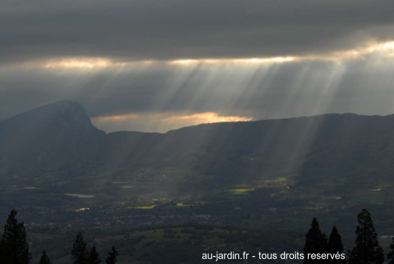 Featured blog image