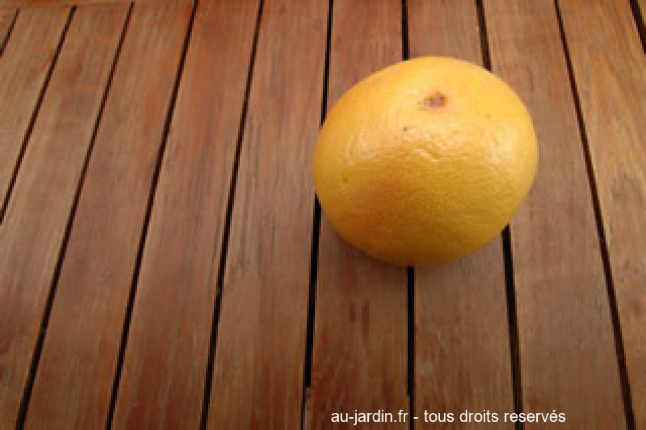Featured blog image