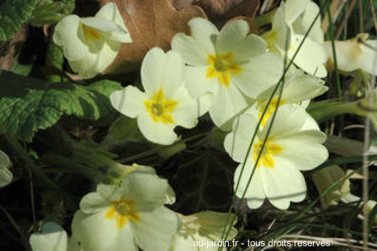 Featured blog image