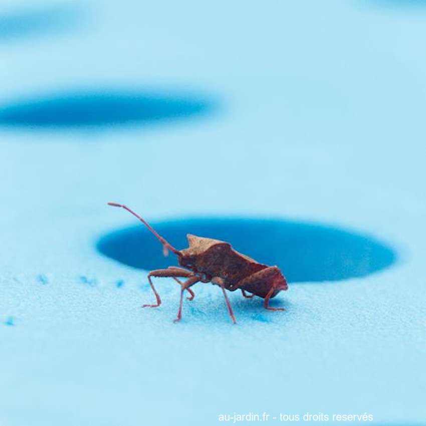 Featured blog image