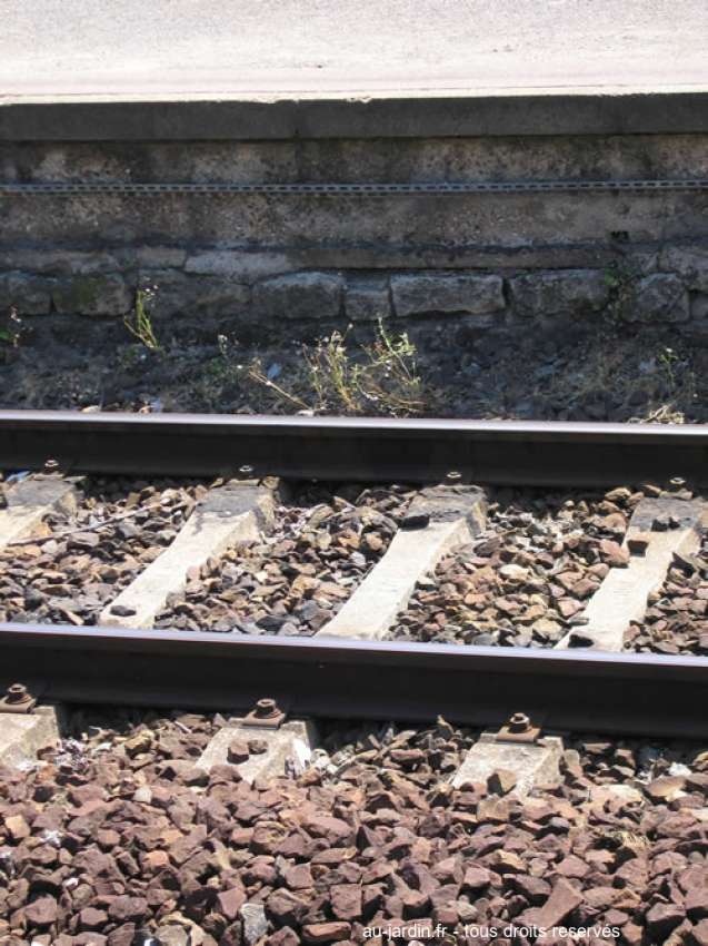 Featured blog image