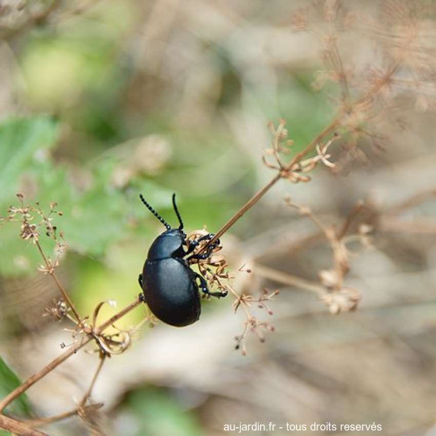 Featured blog image