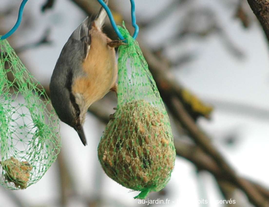 Featured blog image