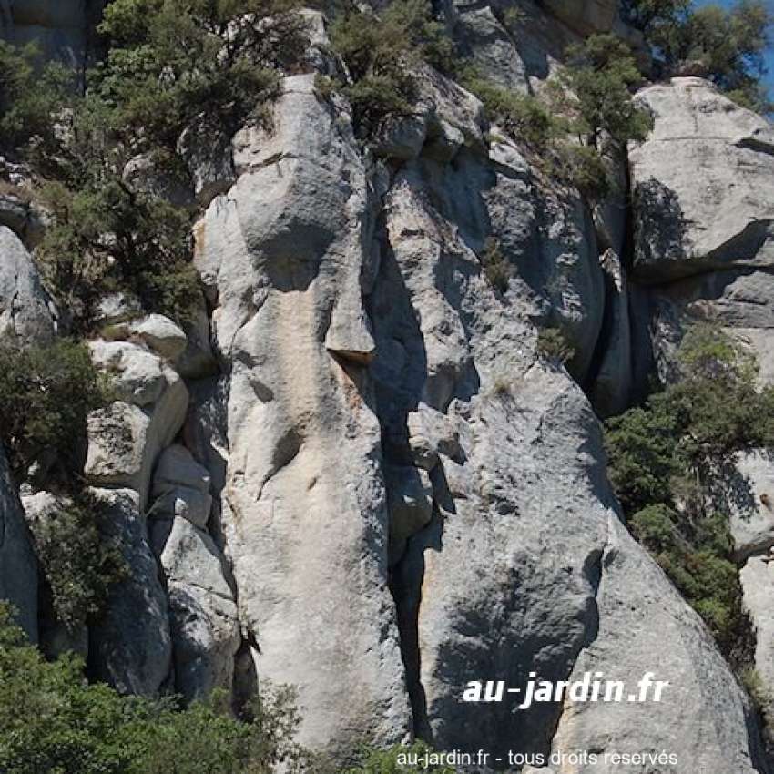 Featured blog image