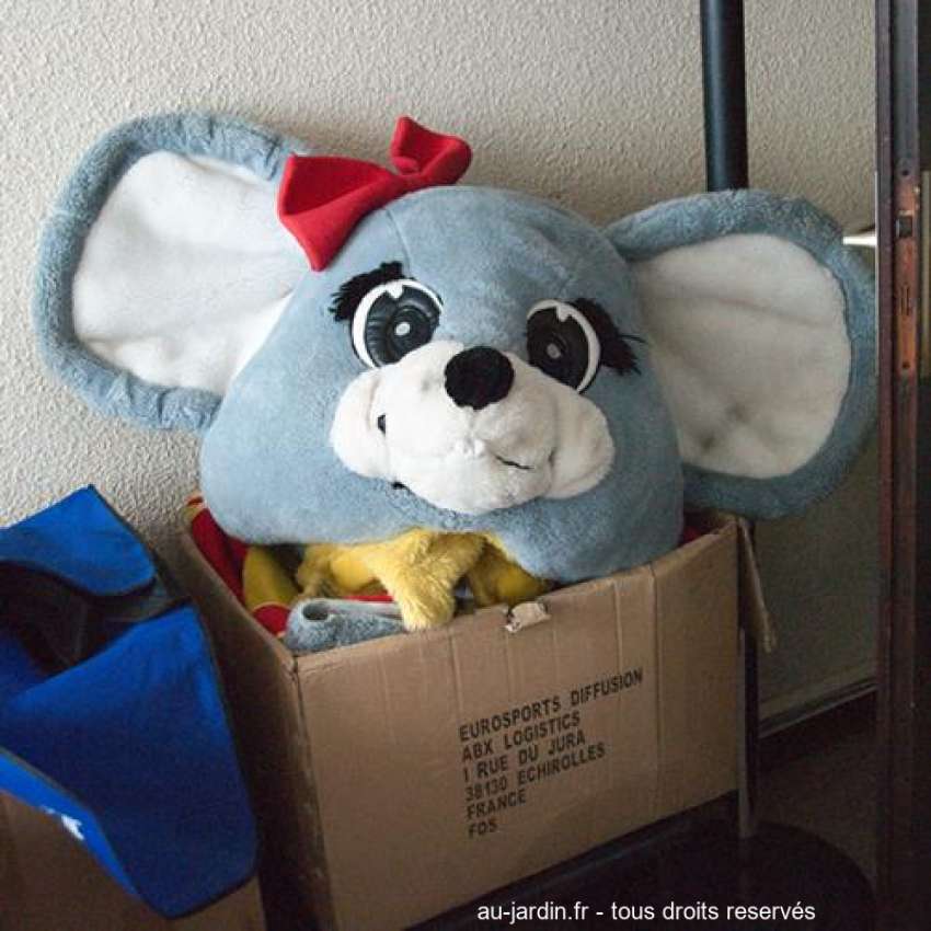 Featured blog image