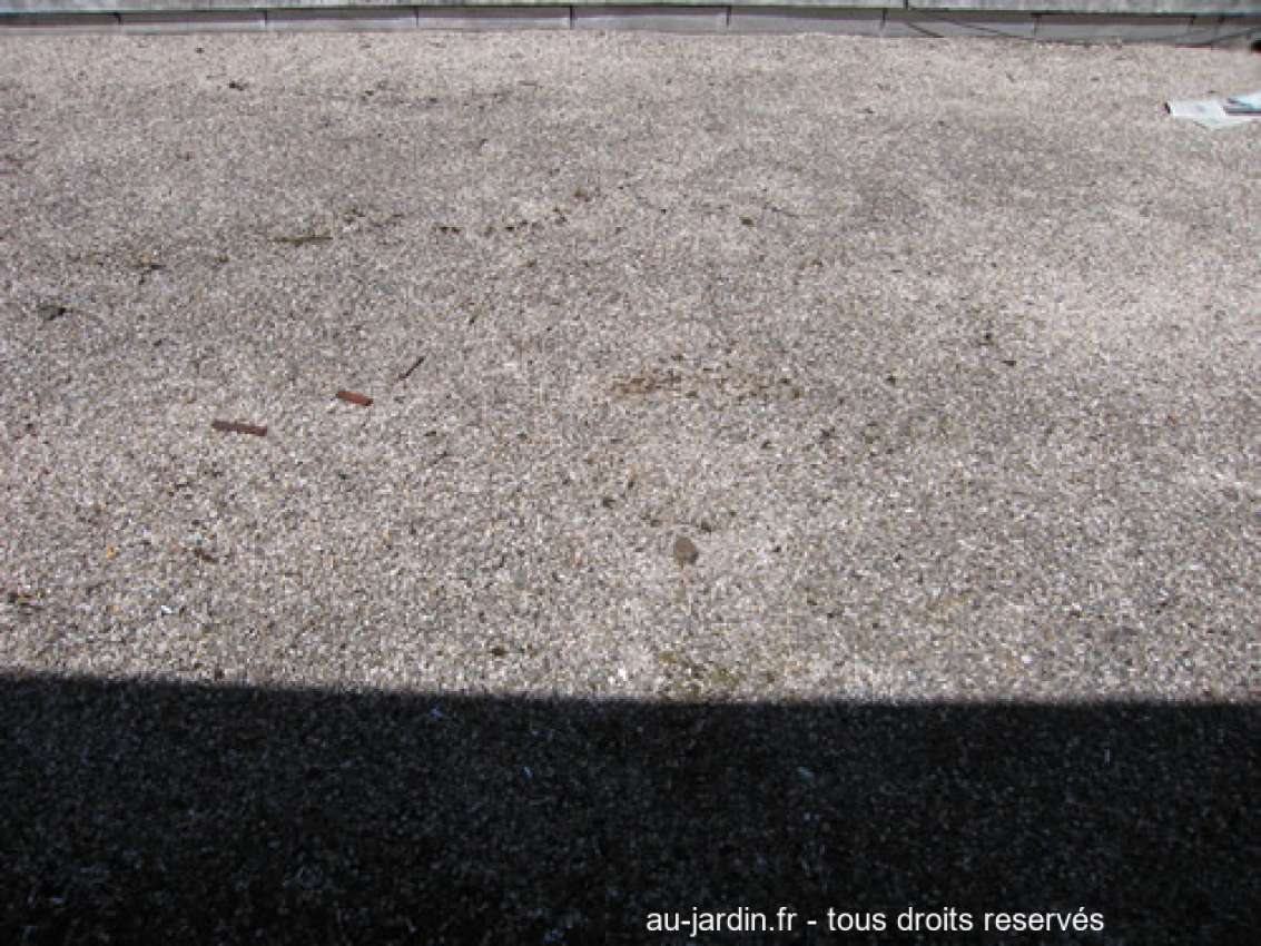 Featured blog image