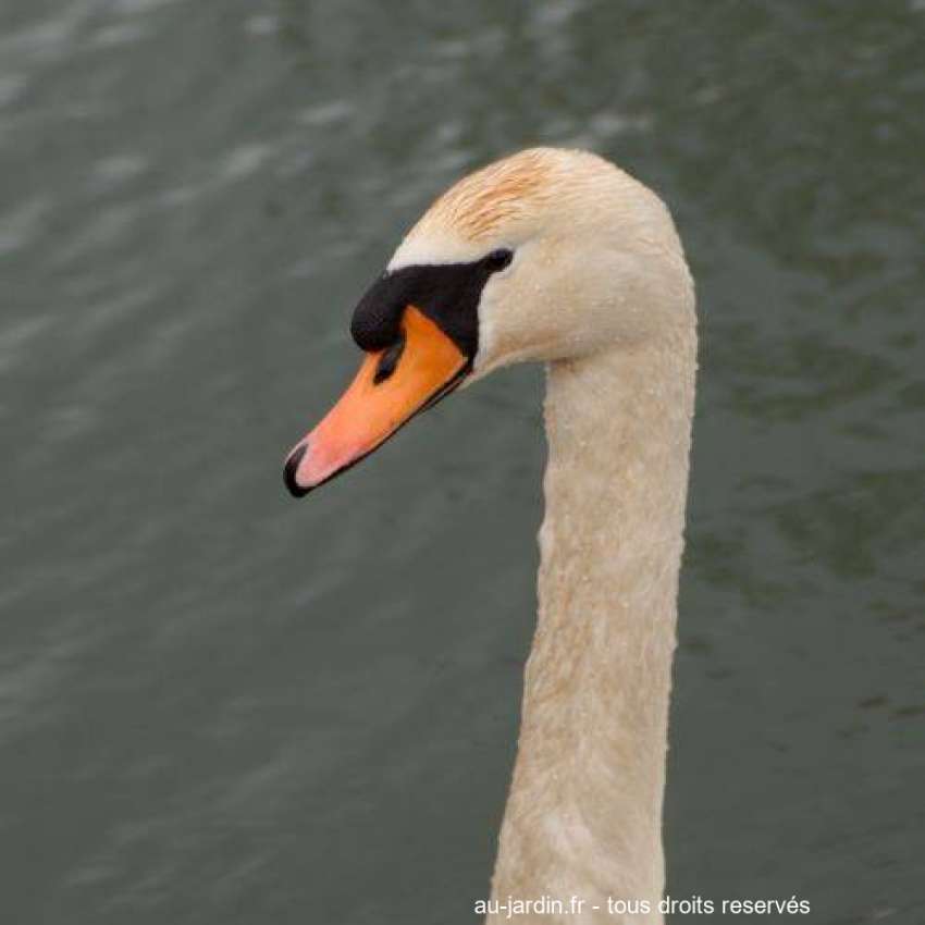 Featured blog image