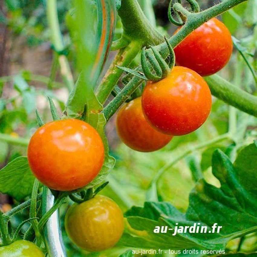 Featured blog image