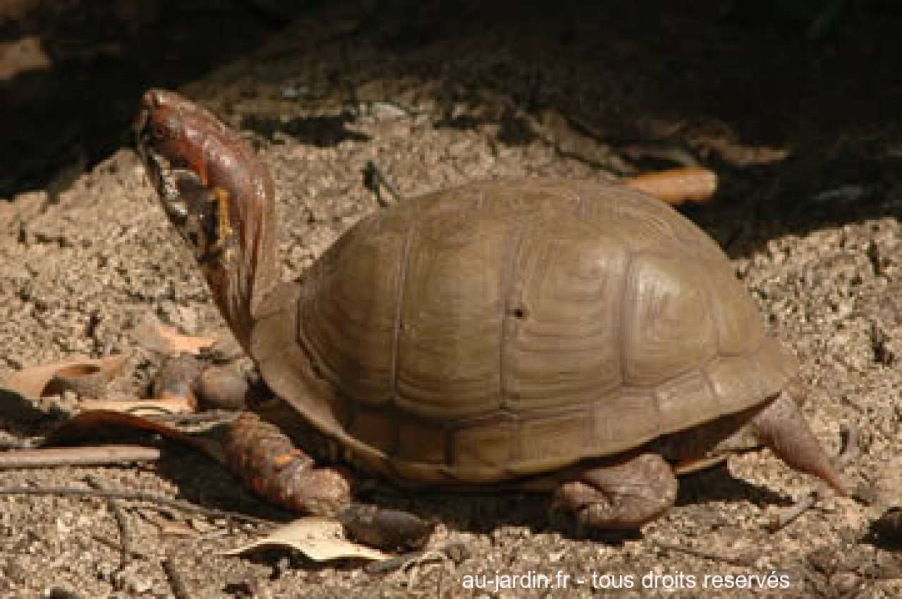 Featured blog image