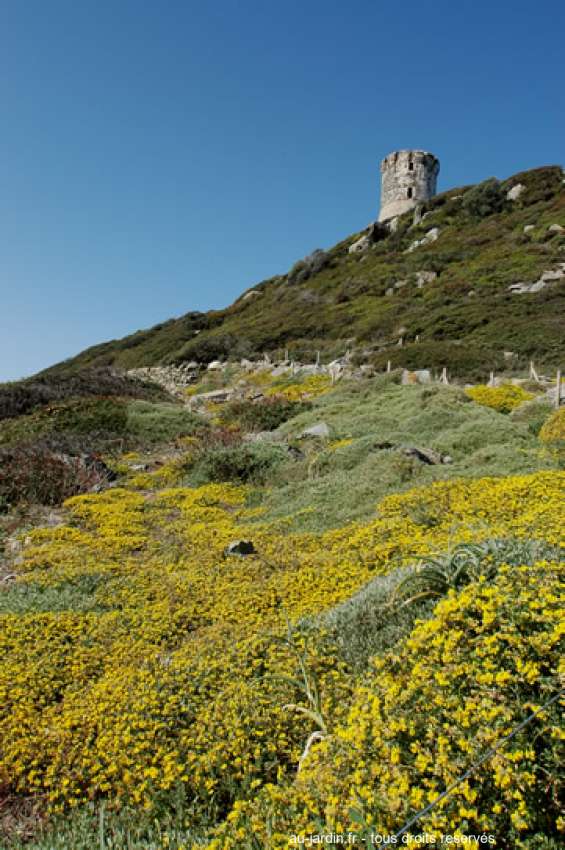 Featured blog image