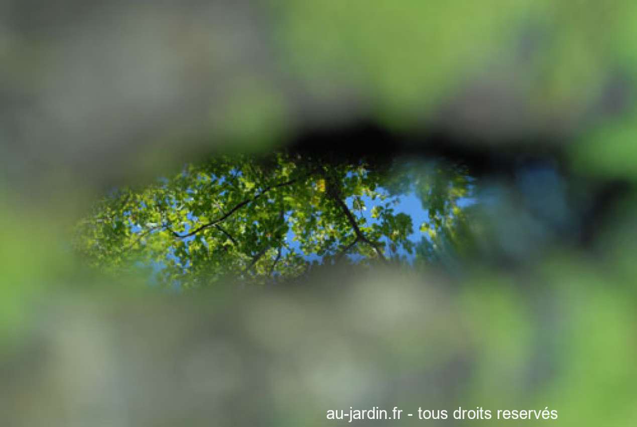 Featured blog image