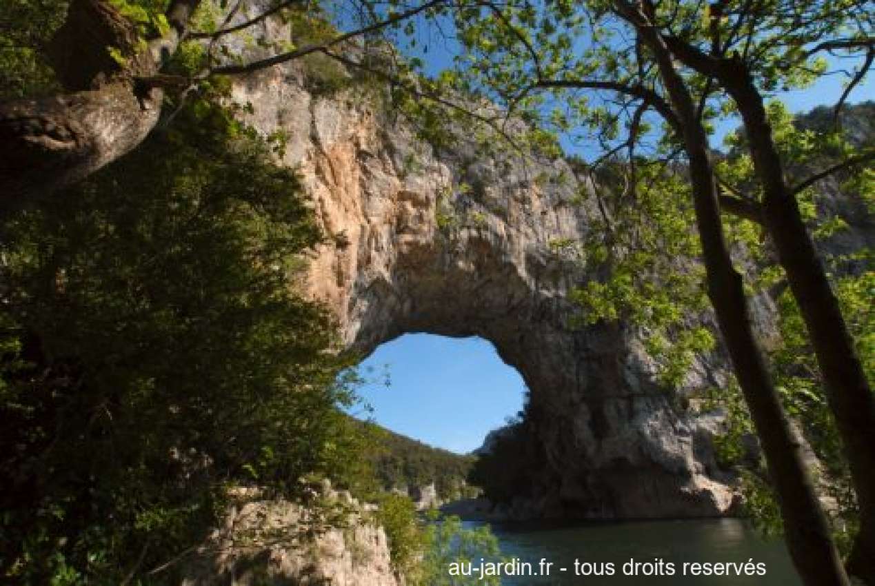 Featured blog image