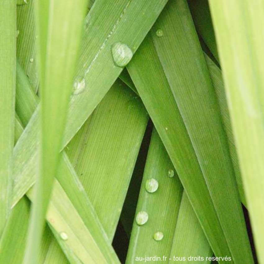 Featured blog image