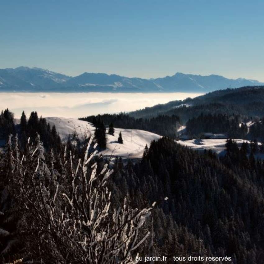 Featured blog image