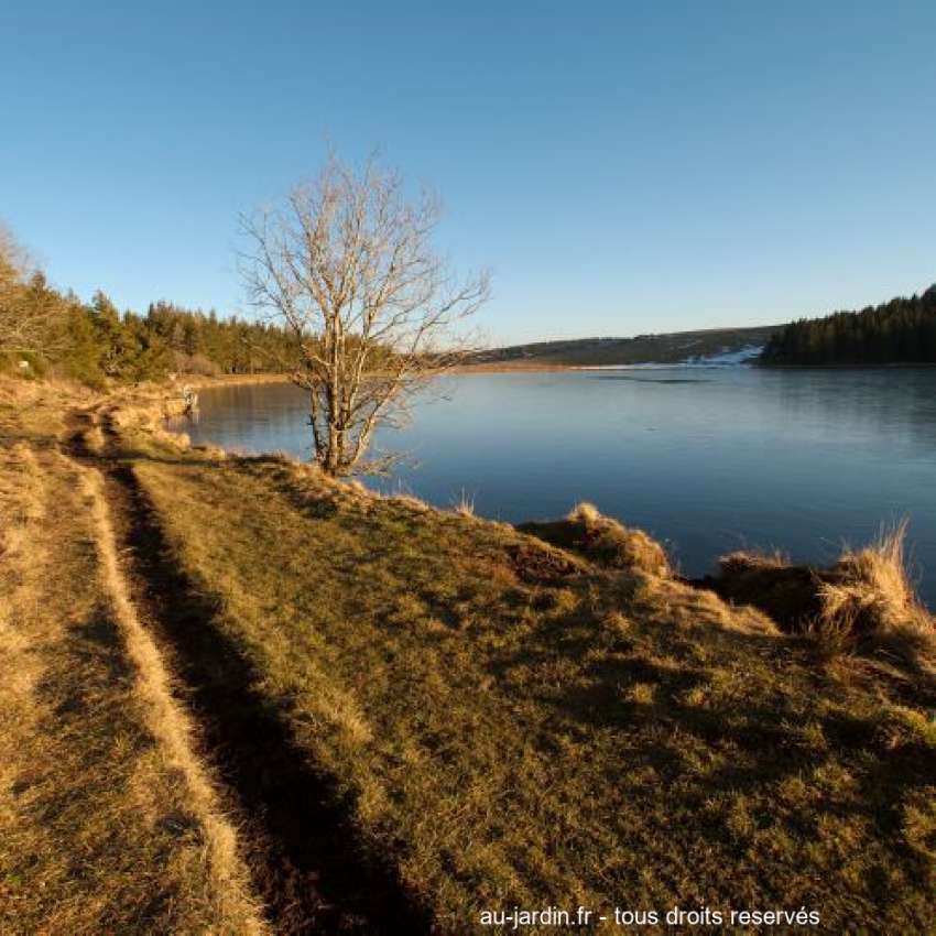Featured blog image