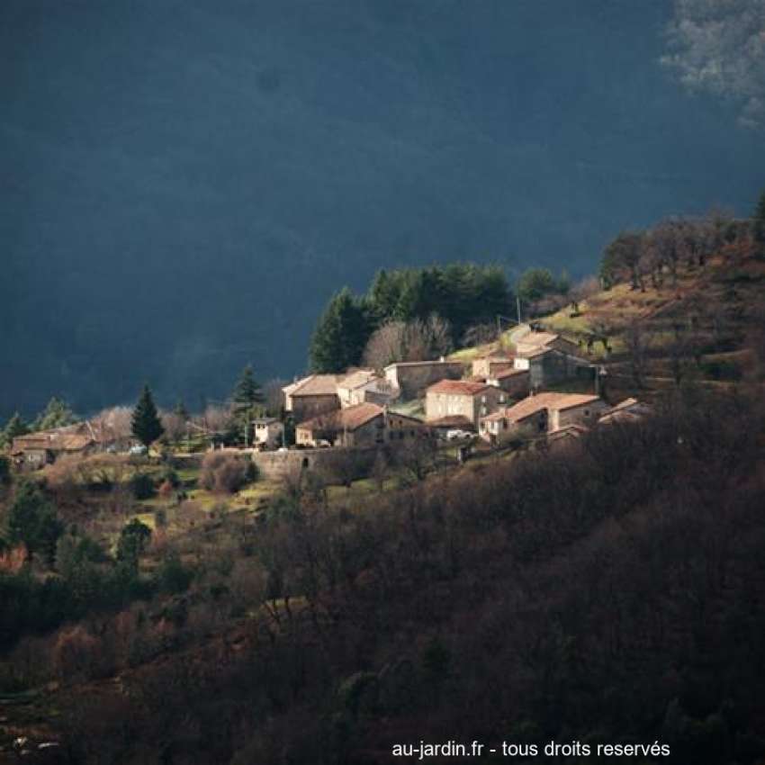 Featured blog image