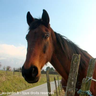 Entre Aix les Bains et Le Vivier du Lac