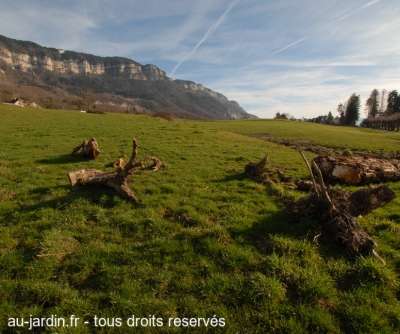 Après-Midi à Pugny Chatenod, Au pied des Bauges