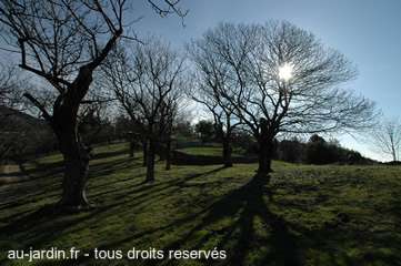 A l'assaut des jardins de l'Ardèche