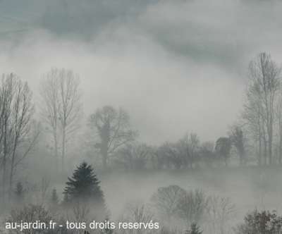 La chartreuse dans les nuages