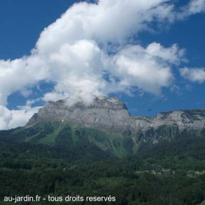 Dans la vallée près de Sallanches