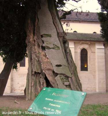 Un engrais en béton