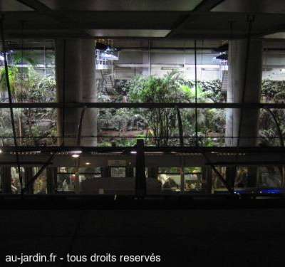 Jardin 6 pieds sous terre