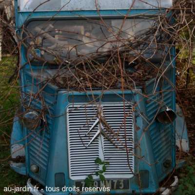 camionnette à poêle