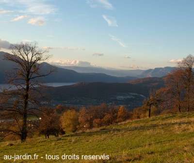 Le lac du Bourget au couché du soleil